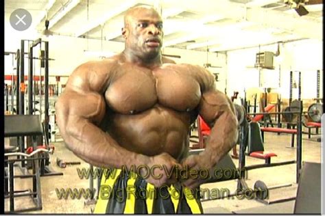 reddit bodybuilding|reddit bodybuilding programs.